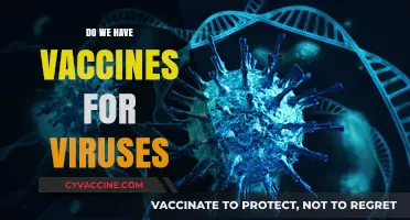 Do We Have Vaccines for Viruses? Exploring the Science and Solutions