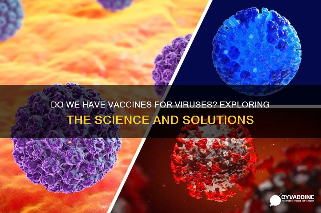 do we have vaccines for viruses