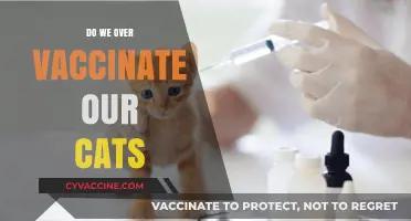 Are We Over-Vaccinating Our Cats? Balancing Health and Risks