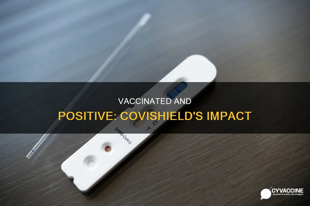do we test positive after taking covishield vaccine