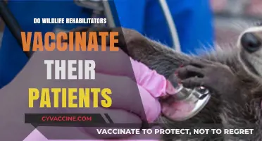 Wildlife Rehabilitators: Do They Vaccinate Their Animal Patients?