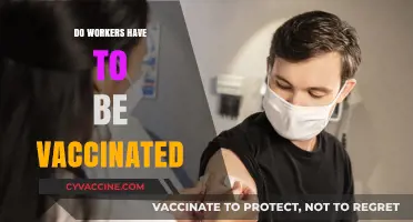 Vaccination Mandates at Work: Rights, Responsibilities, and Legal Boundaries