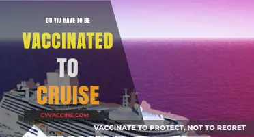 Cruising Soon? Vaccination Requirements You Need to Know