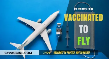 Vaccination Requirements: Air Travel
