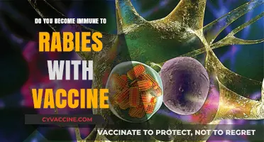 Rabies Vaccine: Immunity or Just Protection?