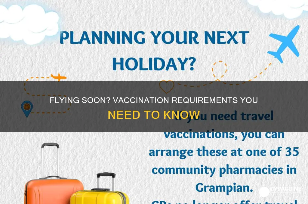 do you beed to be vaccinated to fly