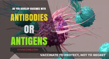 How Antibodies and Antigens Work Together to Develop Vaccines
