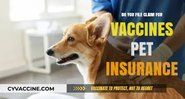 Vaccines for Your Pet: Filing an Insurance Claim