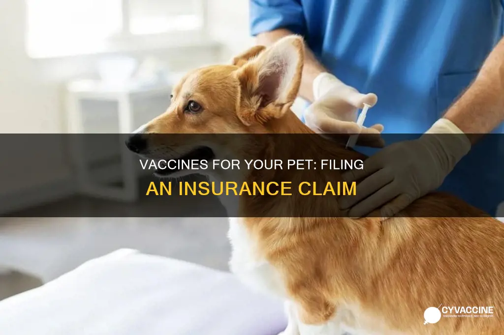 do you file claim for vaccines pet insurance