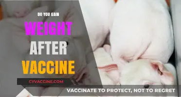 Vaccine Weight Gain Myth: Separating Fact from Fiction