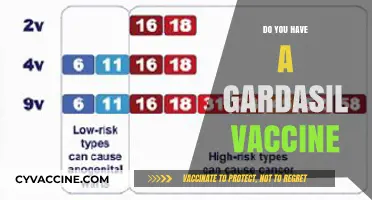 Gardasil Vaccine: Do You Have It? What You Need to Know