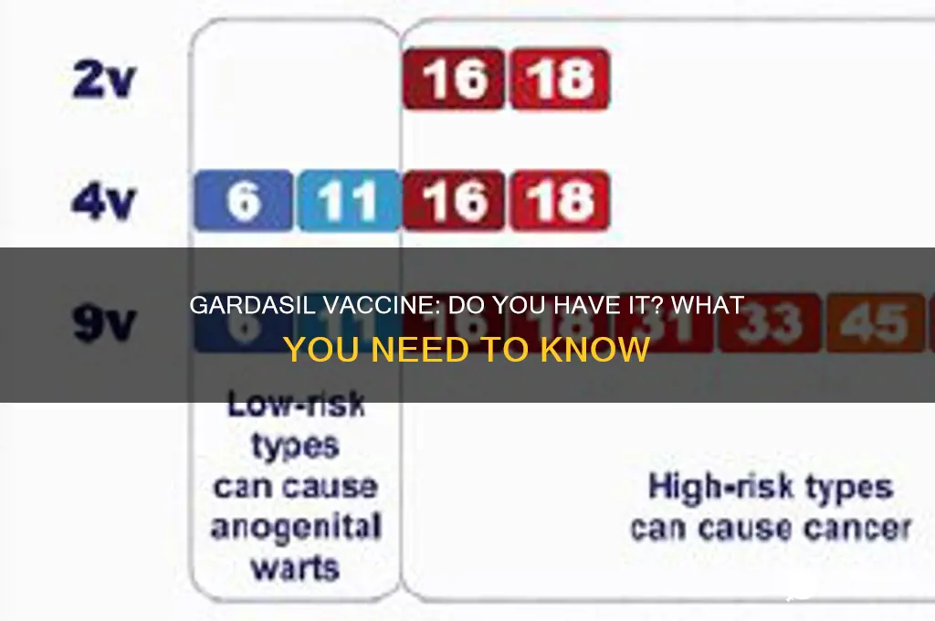 do you have a gardasil vaccine