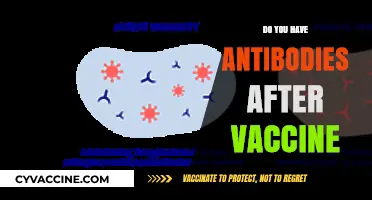 Understanding Post-Vaccination Immunity: Do Vaccines Generate Antibodies?