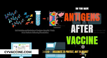 Understanding Post-Vaccination Antigens: What Happens After Your COVID-19 Shot