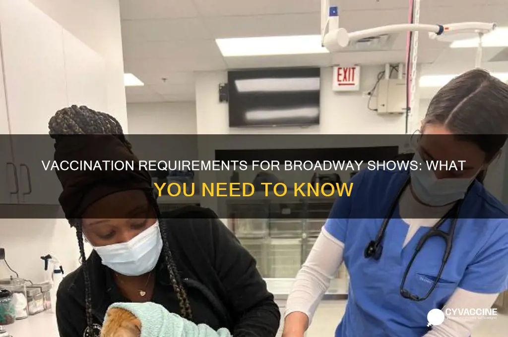 do you have to be vaccinated for a broadway show