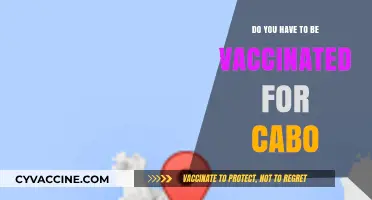 Traveling to Cabo? Vaccination Requirements You Need to Know
