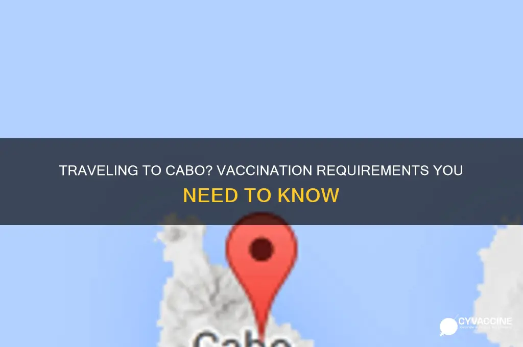 do you have to be vaccinated for cabo