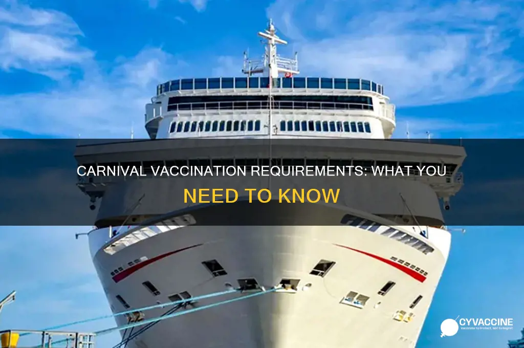 do you have to be vaccinated for carnival