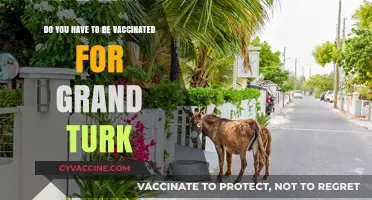 Traveling to Grand Turk? Vaccination Requirements You Need to Know