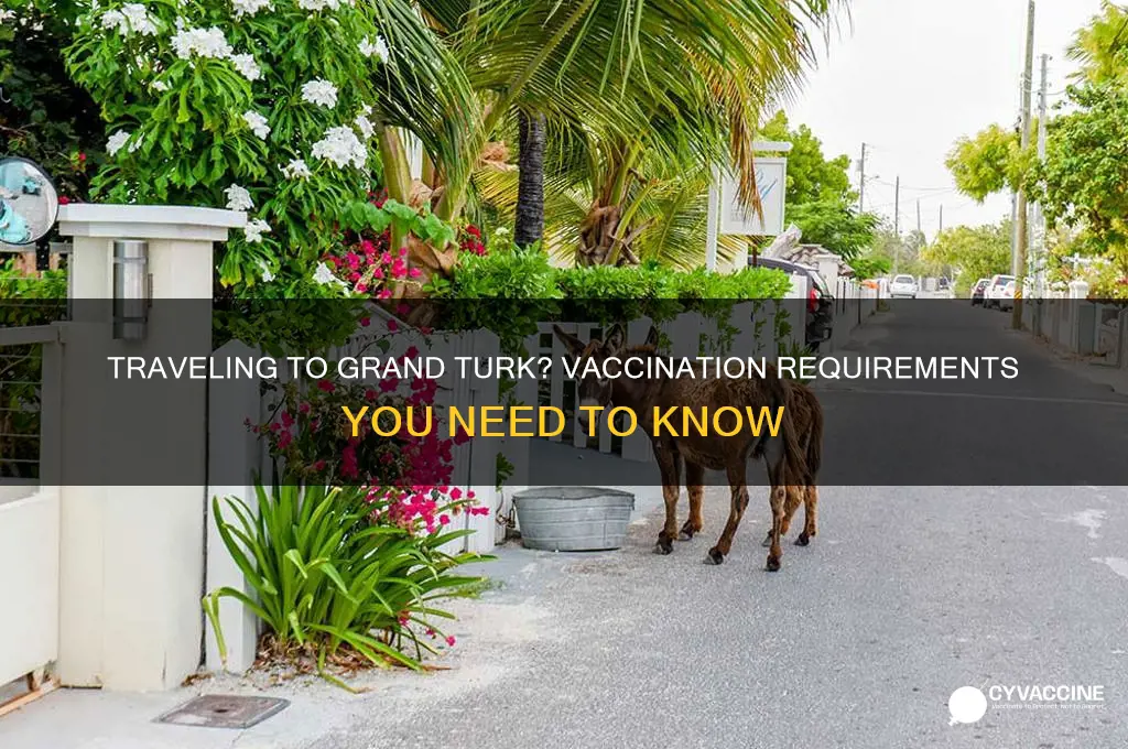 do you have to be vaccinated for grand turk
