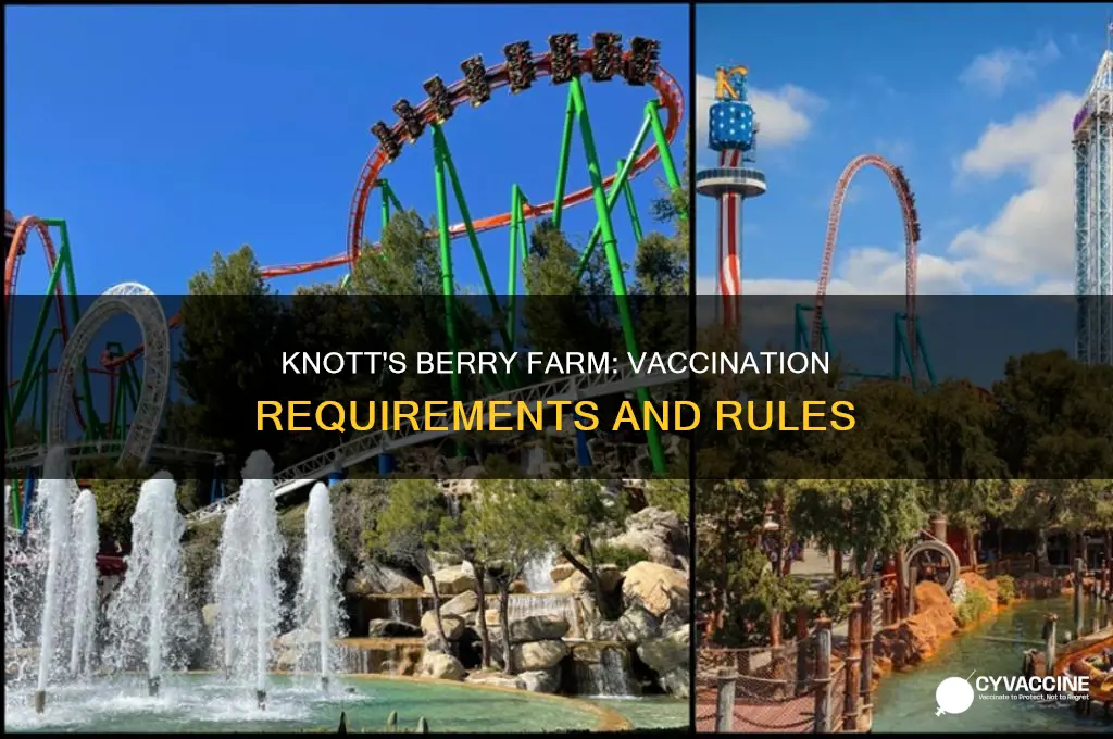 do you have to be vaccinated for knott