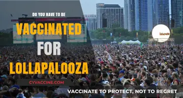 Lollapalooza: Vaccination Requirements and Festival Fun