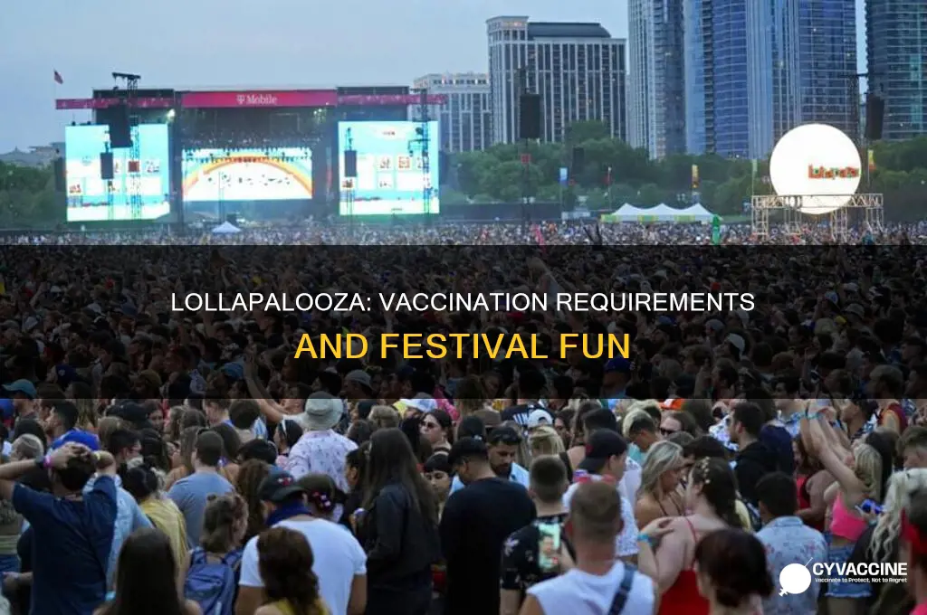 do you have to be vaccinated for lollapalooza