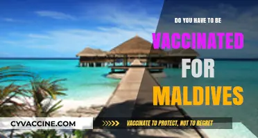 Maldives Travel: Vaccination Requirements and Entry Protocols