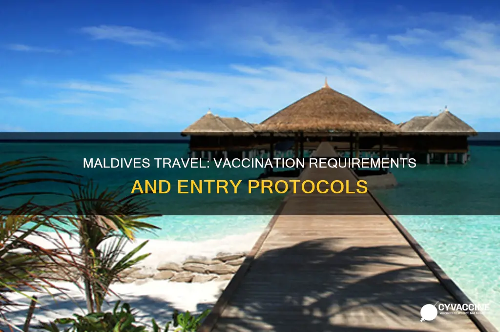 do you have to be vaccinated for maldives