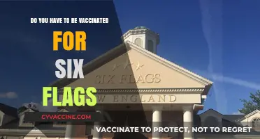 Six Flags' Vaccination Requirements: What You Need to Know