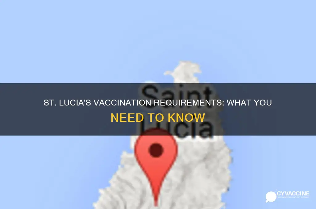 do you have to be vaccinated for st lucia