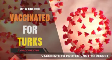 Traveling to Turkey? Vaccine Requirements and Entry Rules