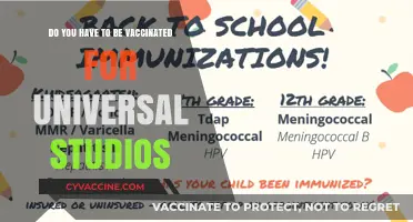 Universal Studios: Vaccination Requirements for Visitors