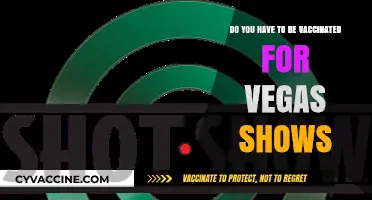 Vaccination Requirements for Vegas Shows: What You Need to Know