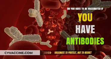 Antibodies vs Vaccines: Do Natural Protections Trump Jab?