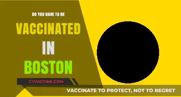 Vaccination Requirements in Boston: What You Need to Know