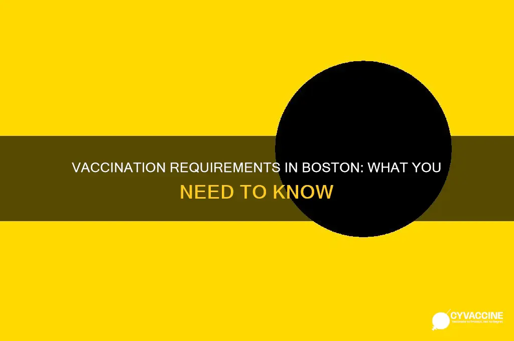 do you have to be vaccinated in boston
