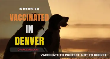Vaccination Requirements in Denver: What You Need to Know