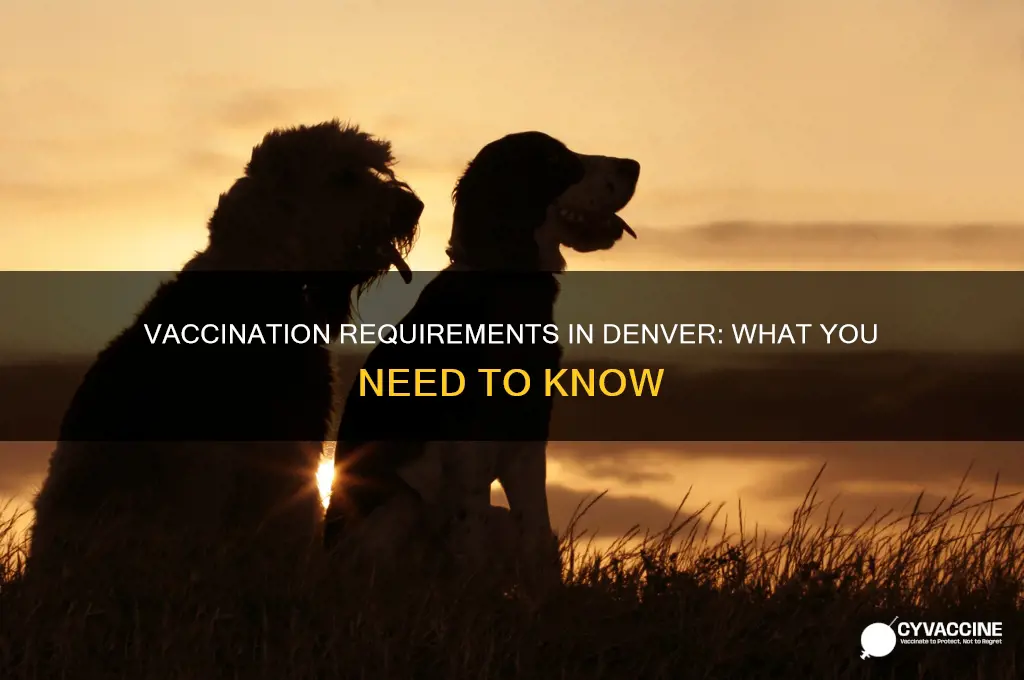 do you have to be vaccinated in denver