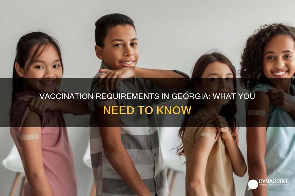do you have to be vaccinated in georgia