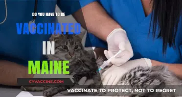 Maine's Vaccination Rules: What You Need to Know