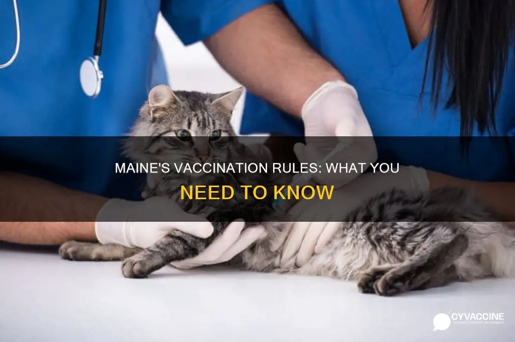 do you have to be vaccinated in maine
