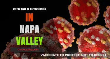 Vaccination Requirements for Napa Valley Visitors
