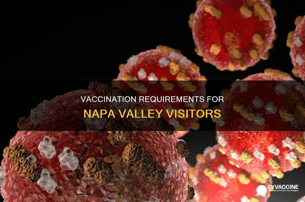 do you have to be vaccinated in napa valley