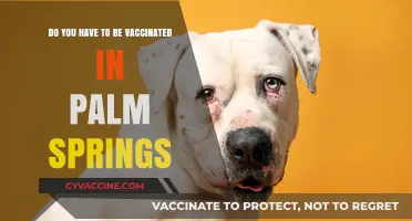 Palm Springs: Vaccination Requirements and Entry Rules