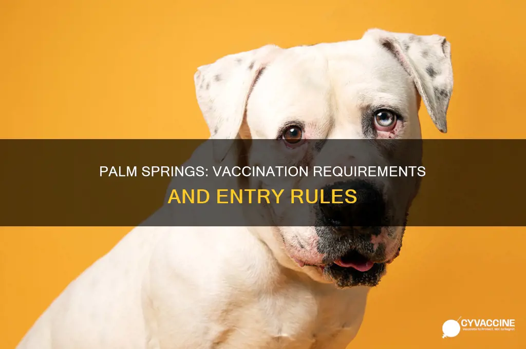 do you have to be vaccinated in palm springs