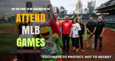 MLB Games: Vaccination Requirements for Fans