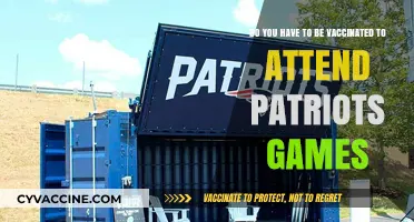 Gillette Stadium: Vaccination Requirements for Fans