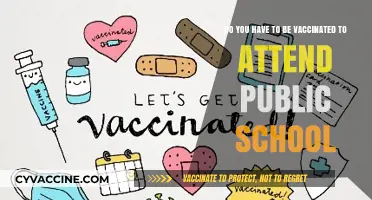 Vaccination Requirements for Public School Attendance Explained