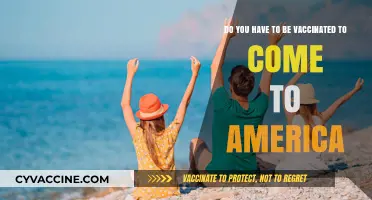 Traveling to America? Vaccination Requirements You Need to Know